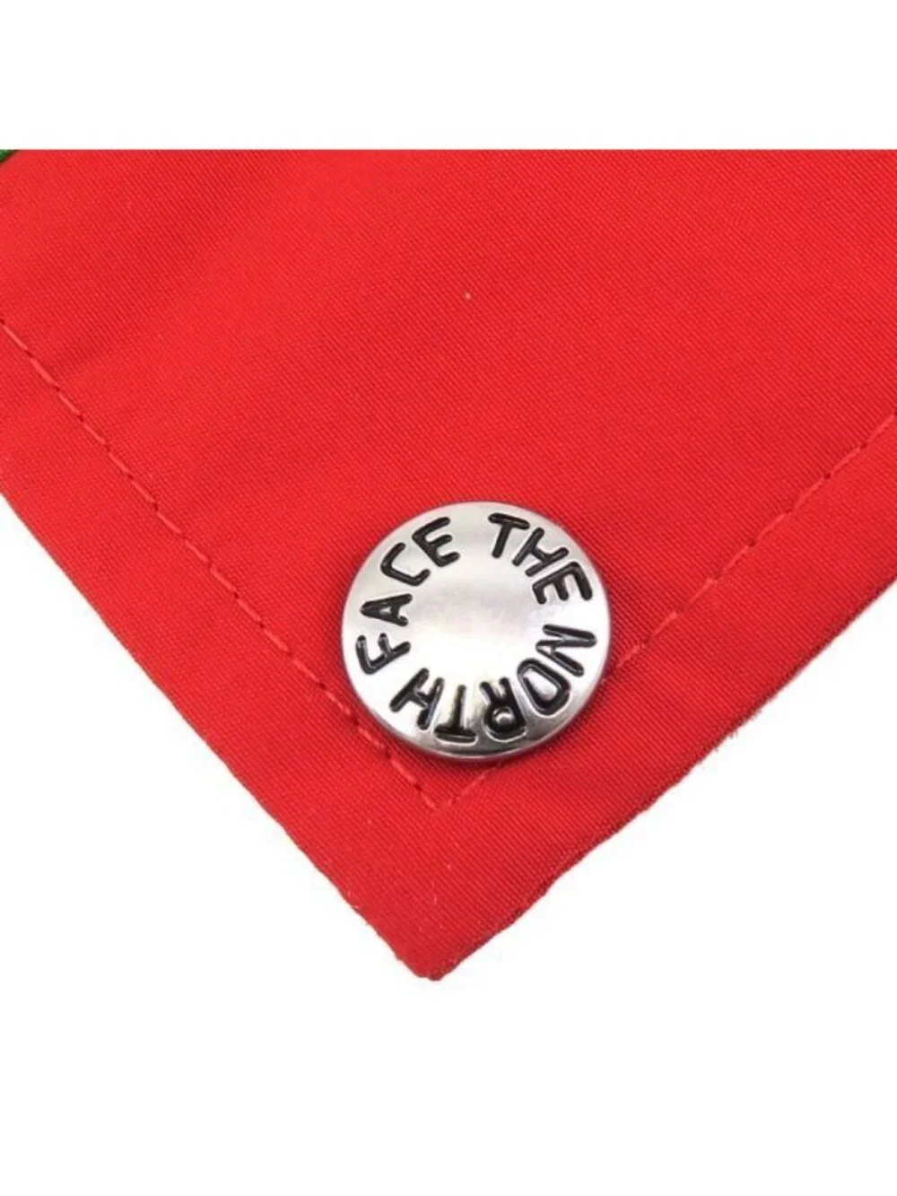 Gucci North Face Pants